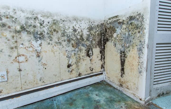 residential mold removal experts in Fairfield